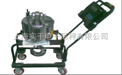 供應(yīng)◣行車(chē)電子吊磅◢行車(chē)電子吊磅
