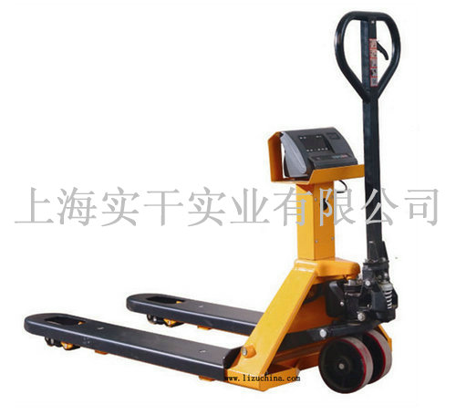 dianzichachecheng