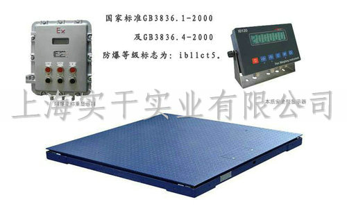 防爆電子磅秤圖片展示
