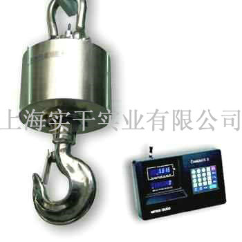 耐高溫電子吊磅
