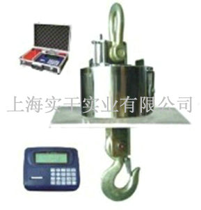 電子吊磅
